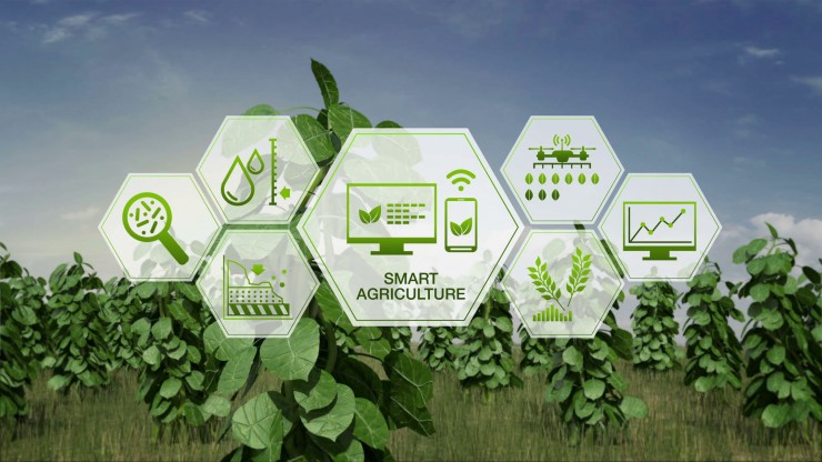 Smart farming